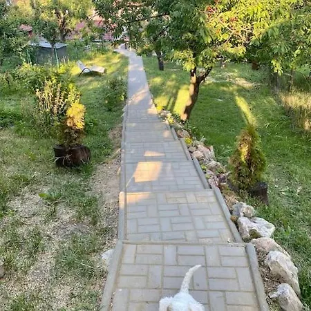 Zuzanittin Domcek Rožňava